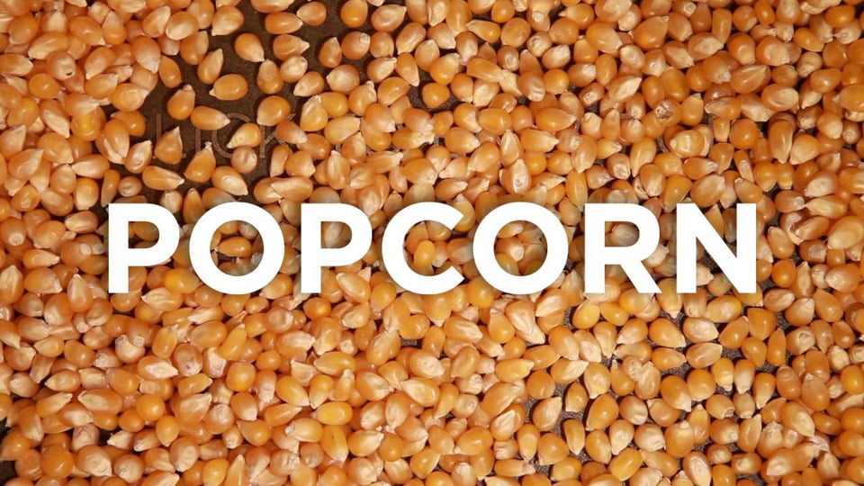 Haga clic para agrandar: Palomitas de maíz | Oso mofeta | NPR