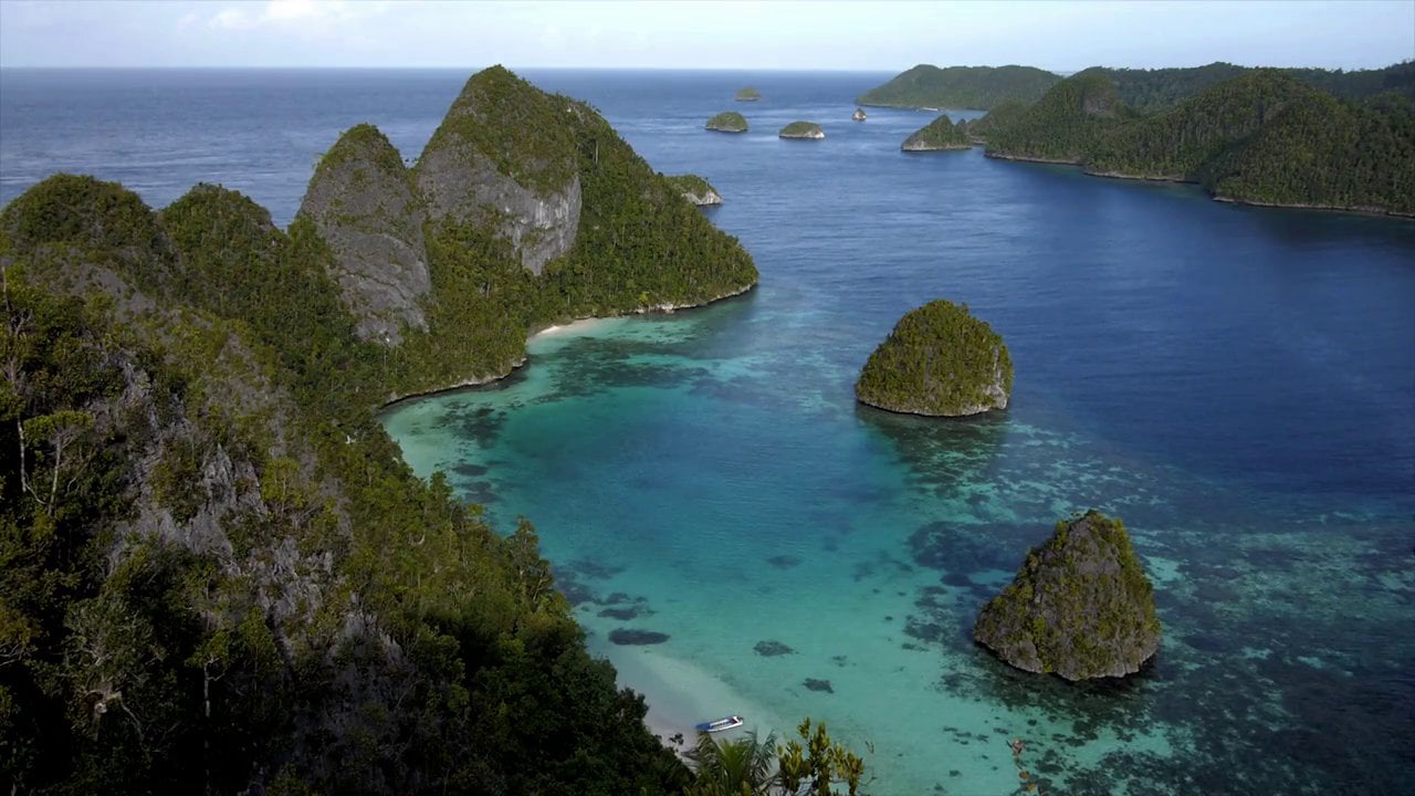 Pearl of Papua. Diving Liveaboard Raja Ampat. Indonesia
