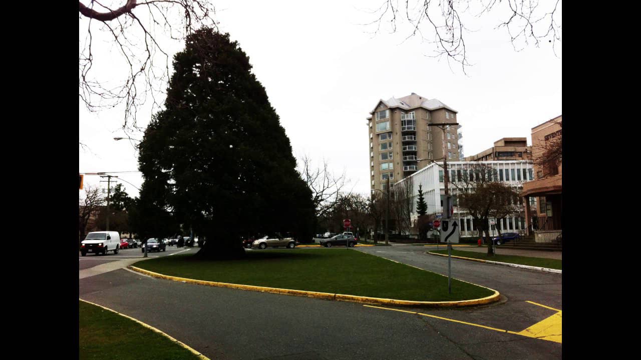 Pandora St Victoria BC on Vimeo