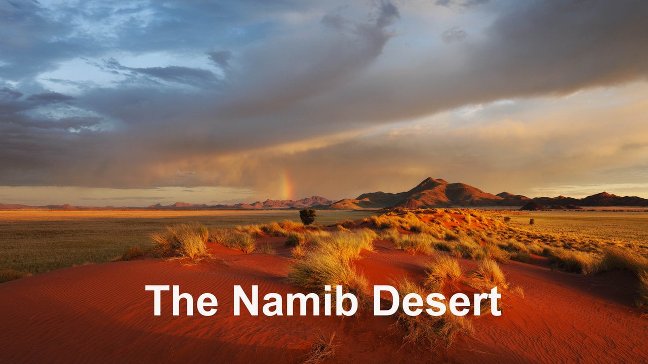 Namib Desert Time Lapse And Wildlife Photography On Vimeo   466380013 60647d4ea5705e544aab9a34ef653a06a19df8cba0613b008047d093015445f7 D