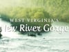 New River Gorge Area, West Virginia