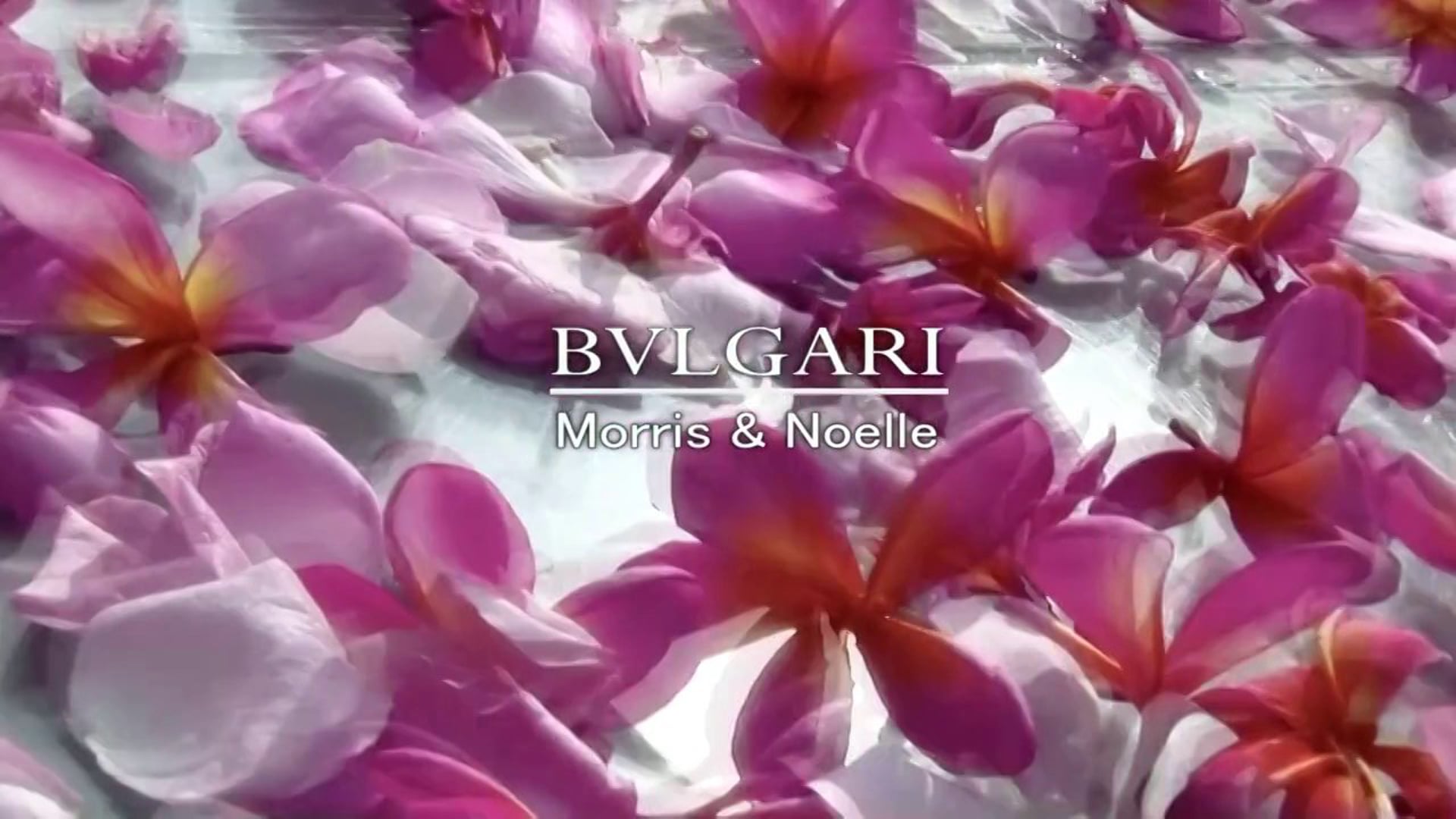 M & N  巴里島寶格麗飯店婚禮