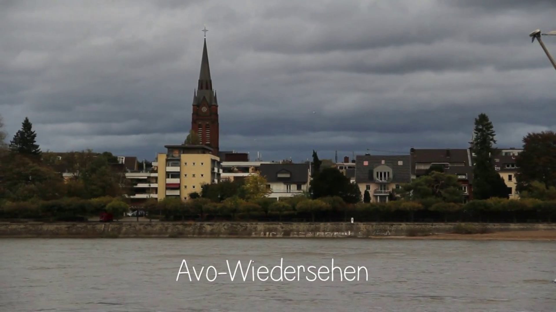 Avo-Wiedersehen: A Guacumentary