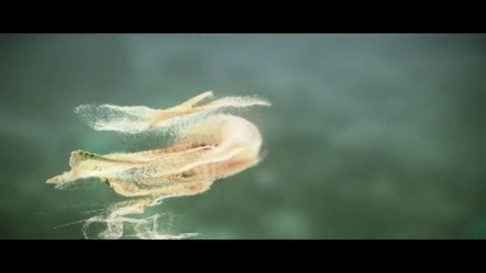 Life .. underwater [10 million particle , MAYA , Krakatoa] on Vimeo