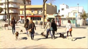 Protectora d'animals a l'Escala