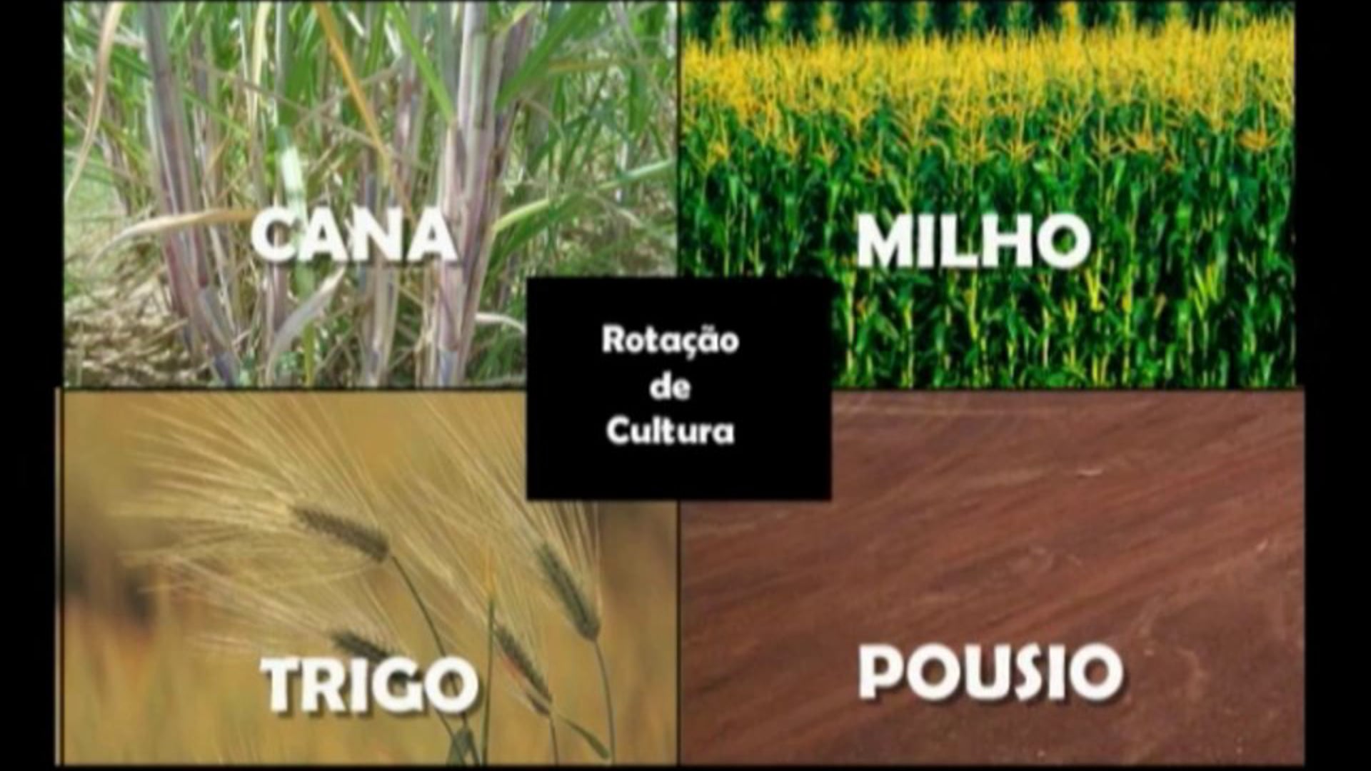 Arcelor Mittal - Prêmio de Meio Ambiente 2009 - Módulo 1