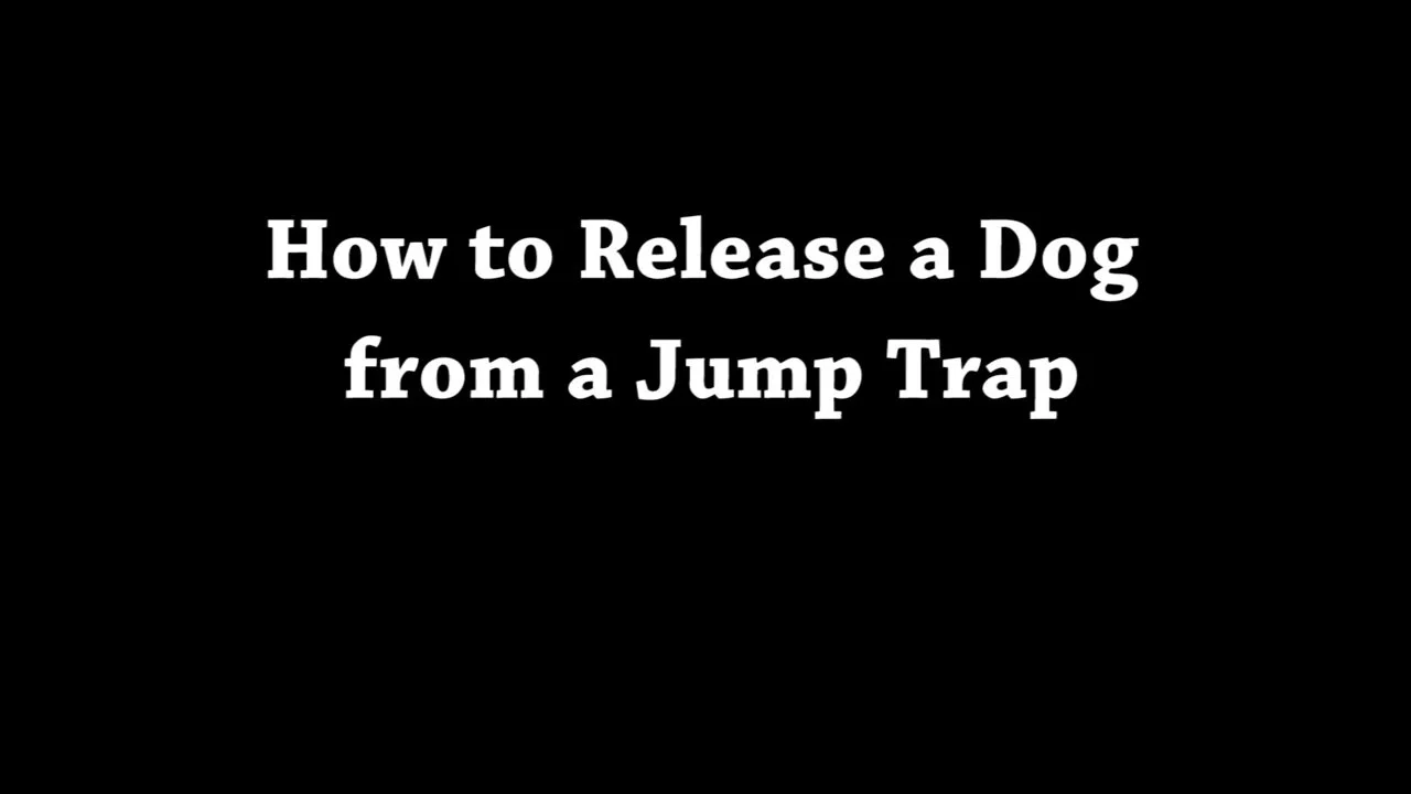 How to Release a dog from a bodygrip trap (also known as a Conibear Trap)  on Vimeo