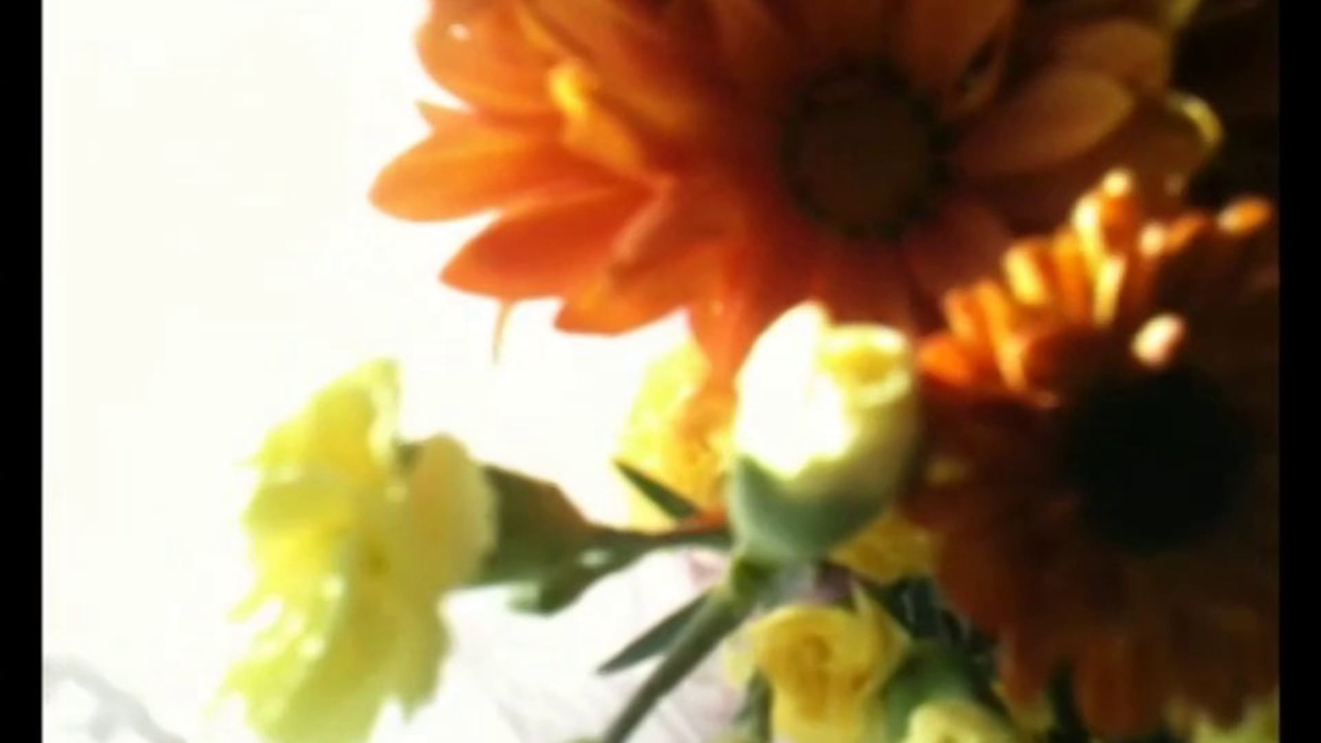 Your Chapters Here Are Now Mine (2014)