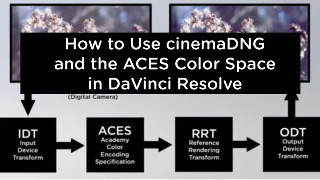 Color Management with Cinema