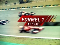 Die Formel 1-Saison 2014, Fernando Alonso