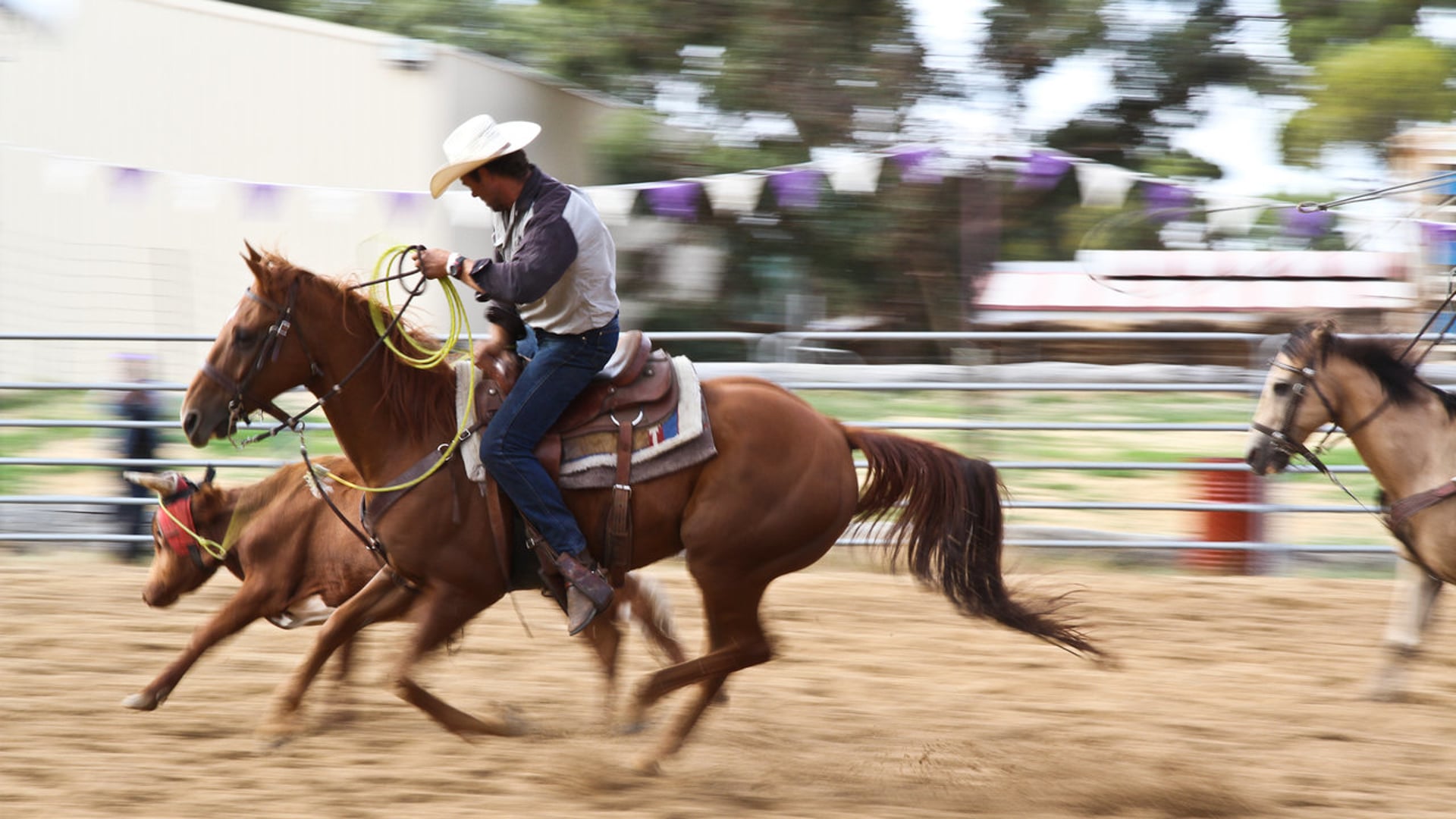 Are you ready to rodeo?