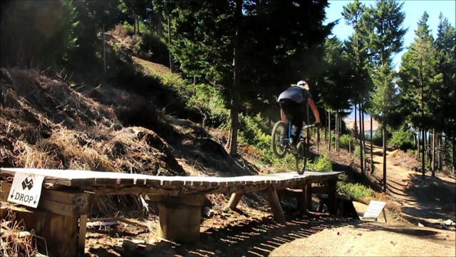 Kelly McGarry - GastoFlat