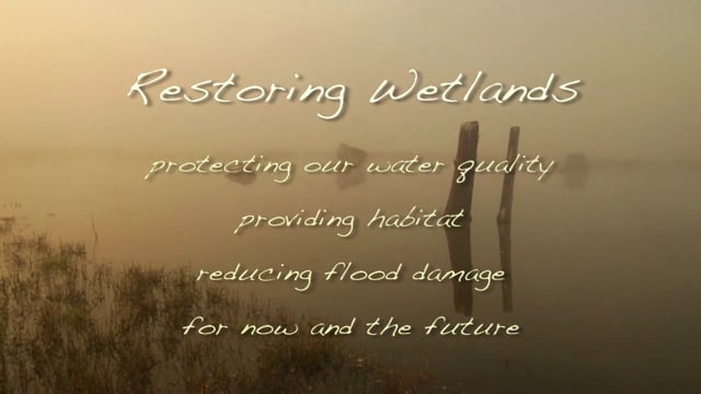 Environmental Documentary - EMMY Award Winner - WETLANDS RESTORATION - Excerpt