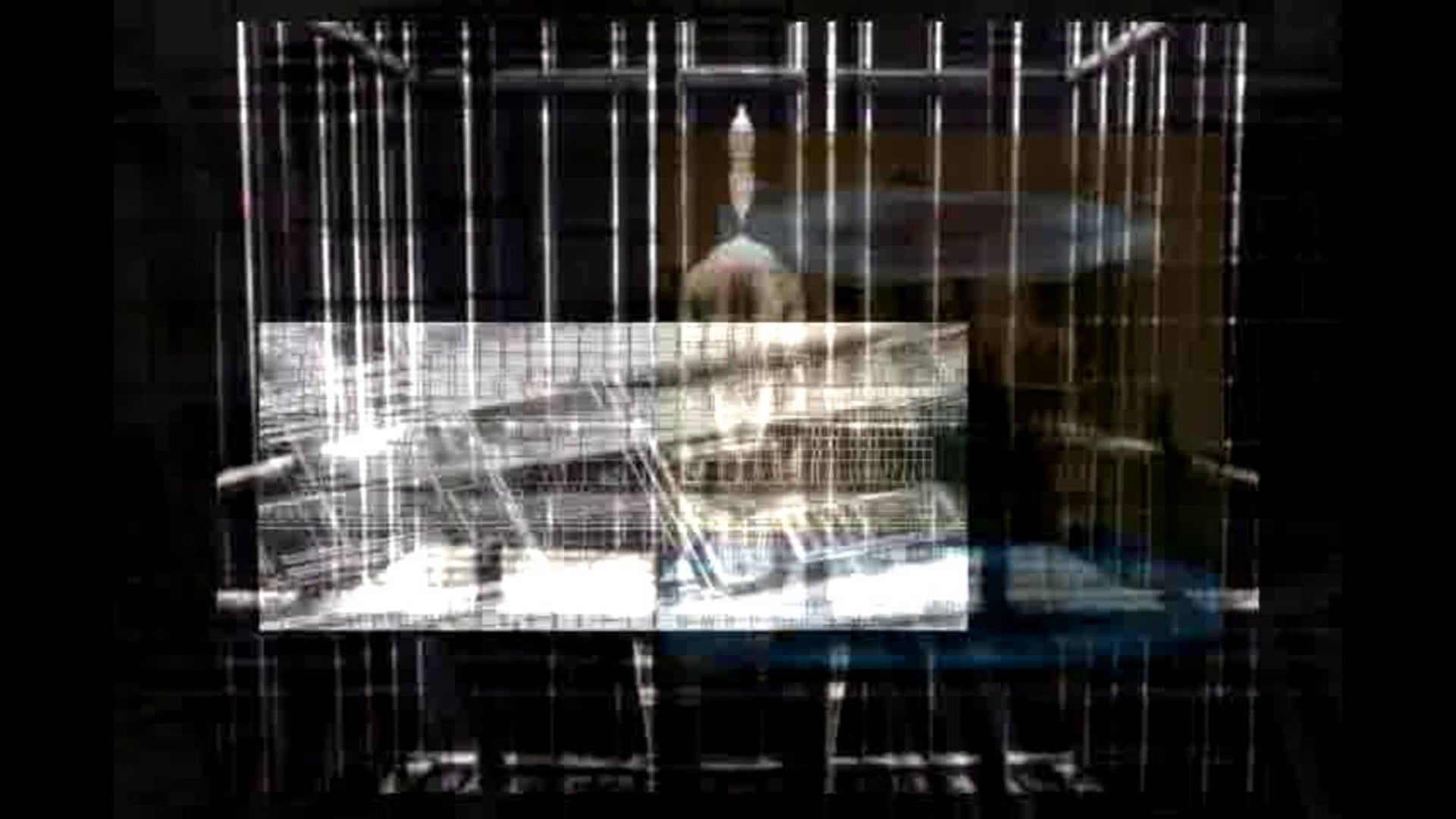 PsycoMedial (Ex)Tensión en sobre(dosis) DemoReel