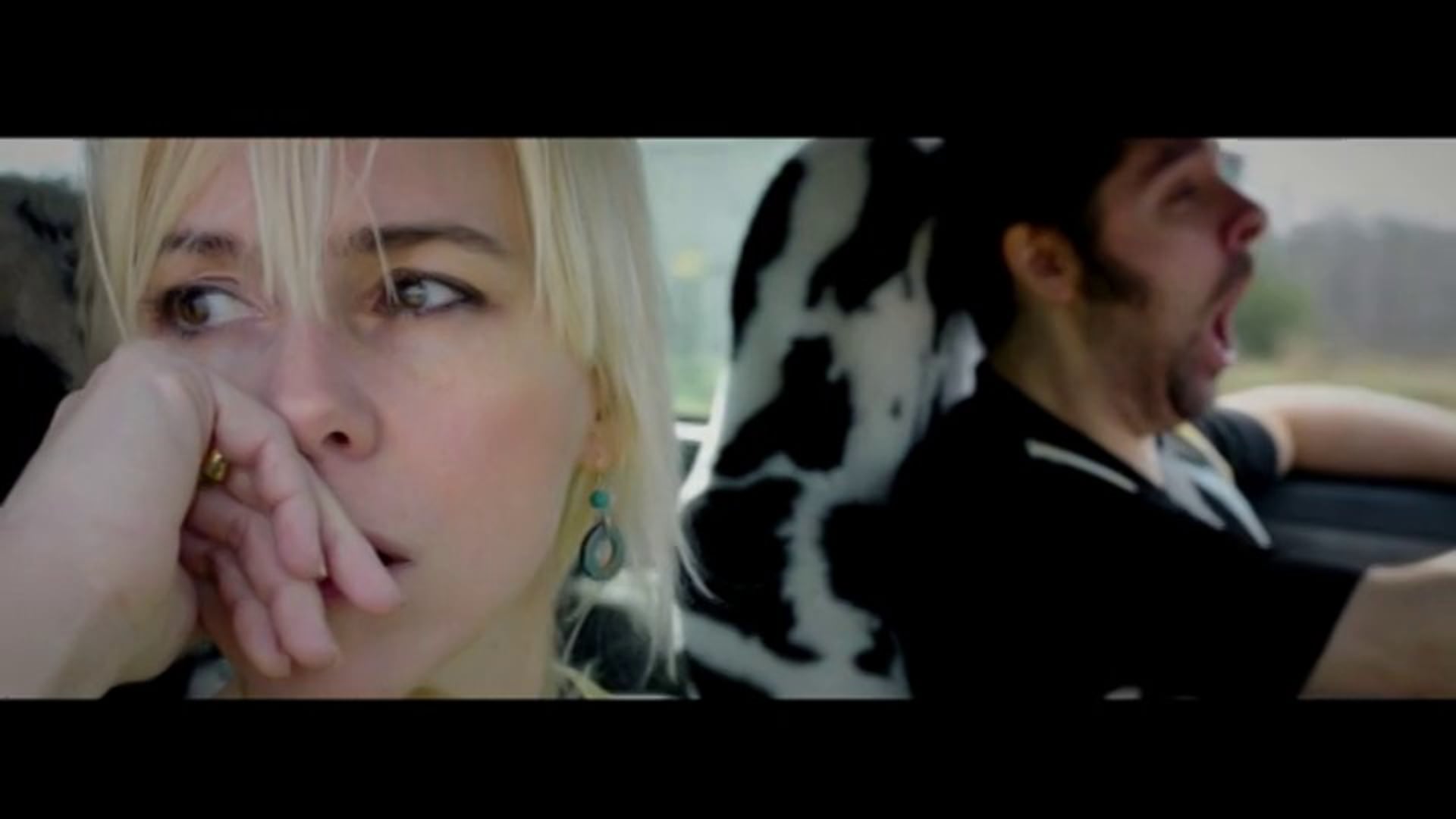 Casper & the Cookies - LEMON HORSES