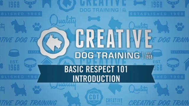 Creative Dog Training – Creative Dog Training