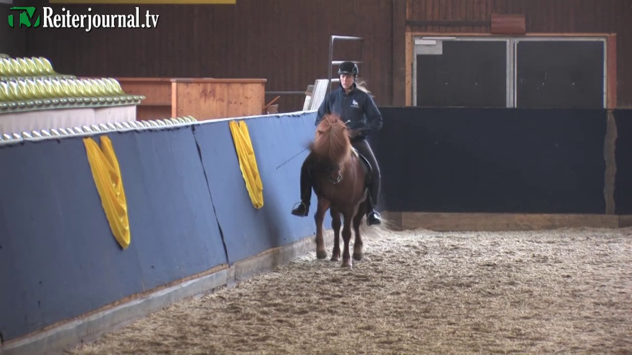 Impressionen & Interviews 1. Pferdetag Baden-Württemberg 2014