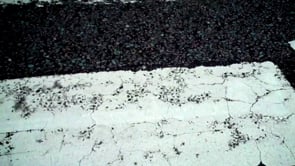 Avid - Customer Success Story