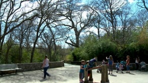 Spring Break at the Cameron Park Zoo