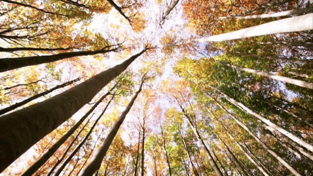 studiomorgagni_showreel 2014.