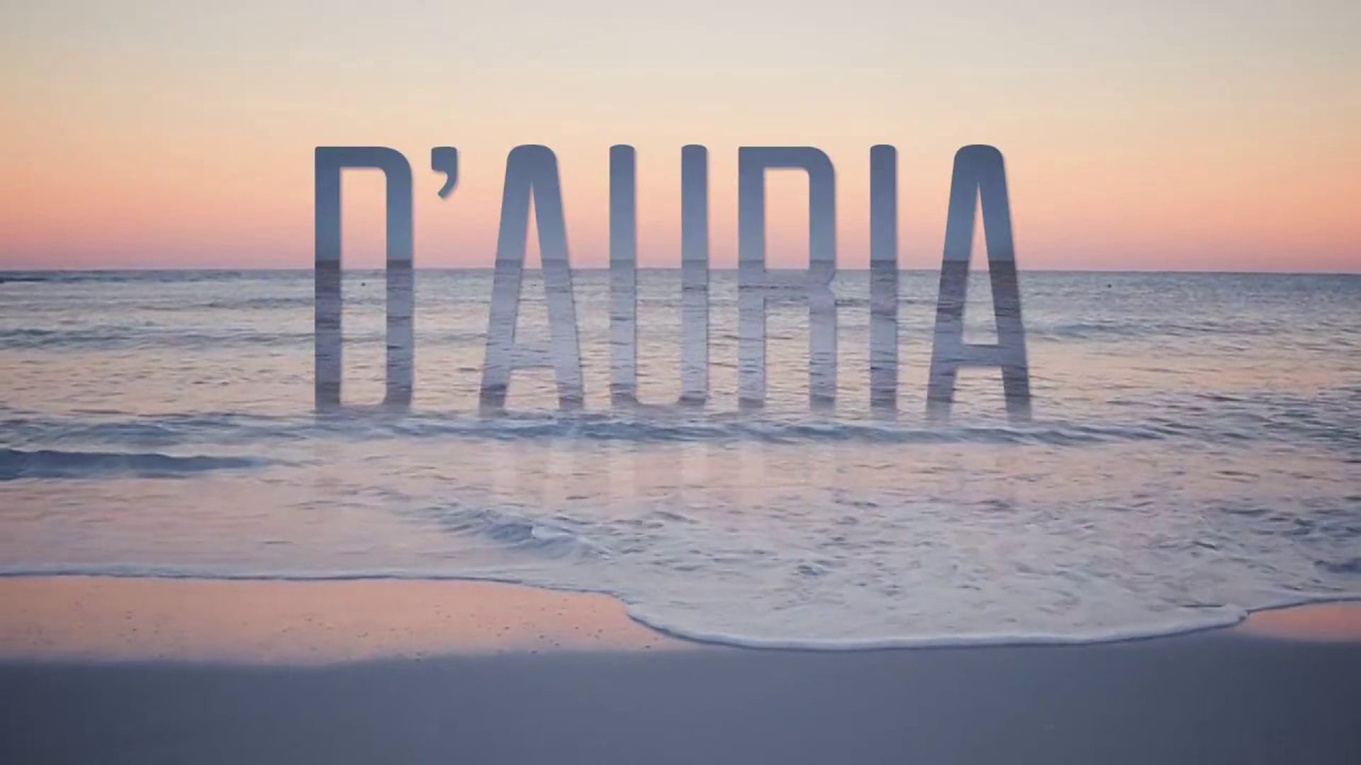 D'Auria - (Inspiration segment progress).