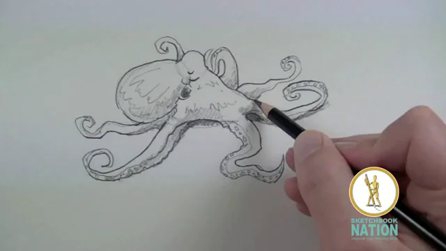 small simple octopus drawing