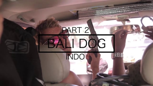 Bali Dog Indo from Jordan Jaffrey