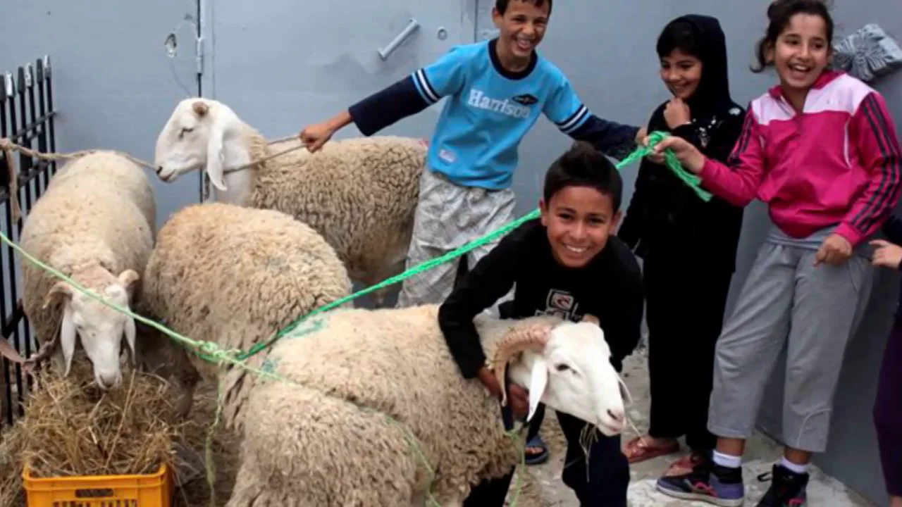 Aid adha. Aiding al. Aiding al. Исламский университет мухаммада ибн сауда. Курбан байрам мубарак.