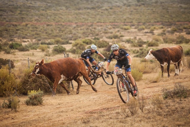 Absa Cape Epic 2014 "Stage 1“ Highlights Clip