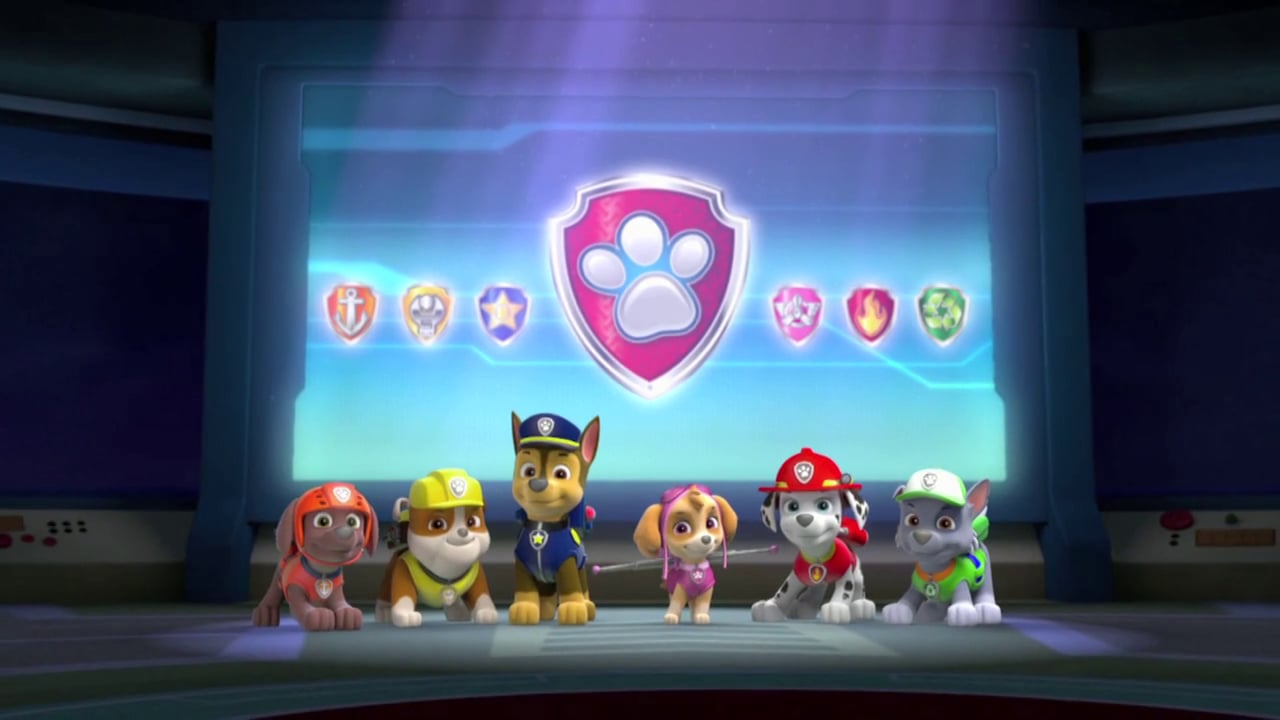 Paw Patrol Launch