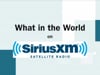 2014.02.28 What in the World - SiriusXM - Breville Joe Cross