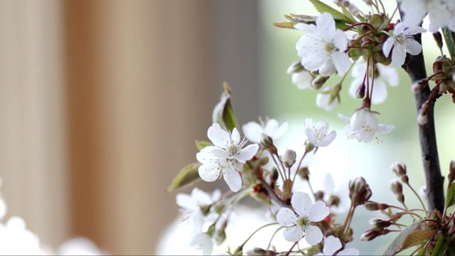 Nicole & Ted Pyle // Wedding Day