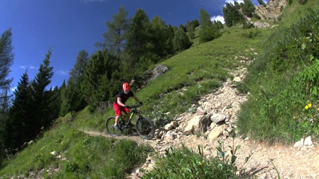 Adam´s Bikedream