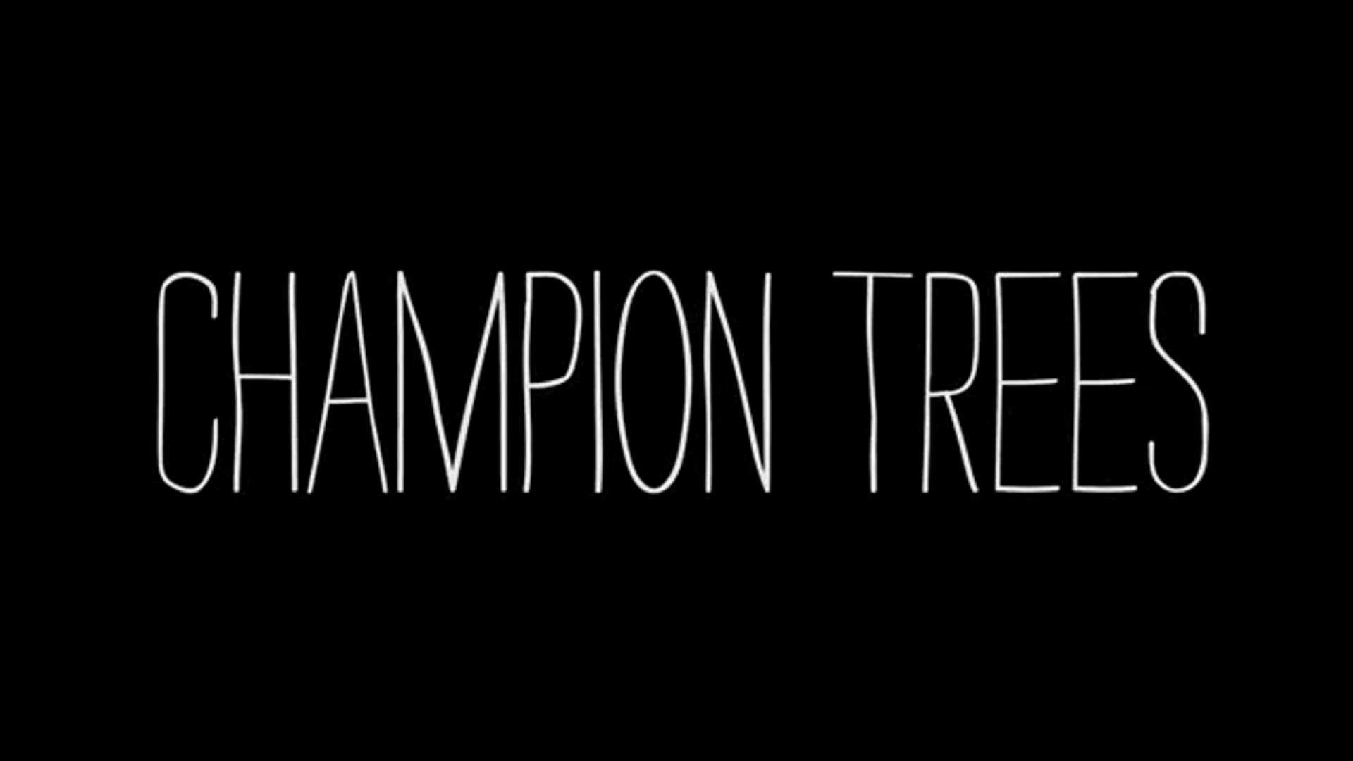 CHAMPION TREES: CLIP