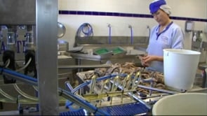 Les anxoves de l'Escala a Alimentaria