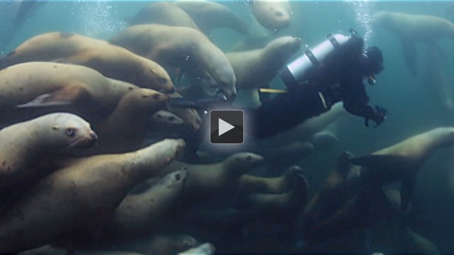 The Lions of Hornby - Behind the Scenes with Johnny Reidt and Travis Matteson of Bigger Boat Production