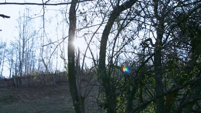 Moderat - Let In The Light thumbnail