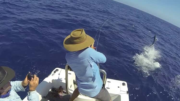 Latest Images  Fishing -  - Fishing WA. Fishing Photos &  Videos