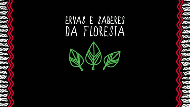 Trailer ERVAS E SABERES DA FLORESTA
