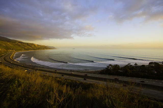 Slayanvis from Michael Kew