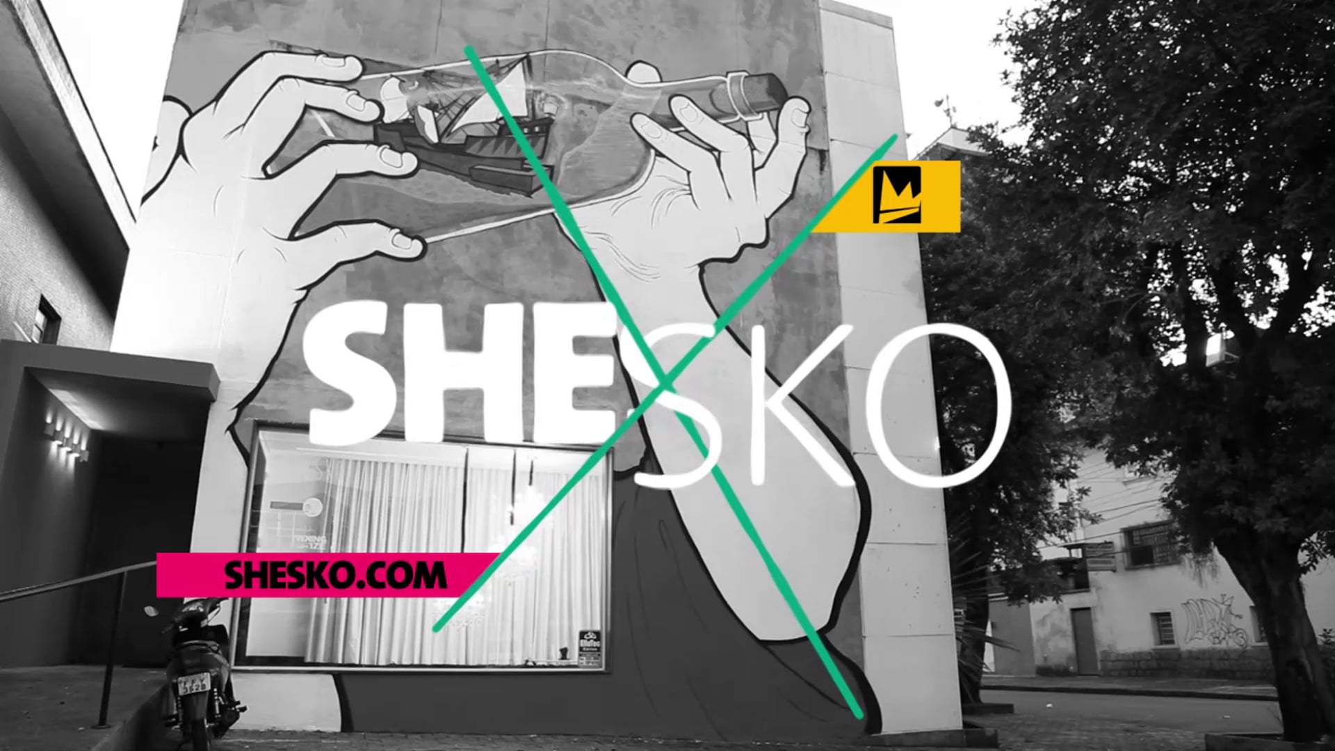 SPOT ART - Exposição "Shesko, o King Size"