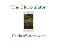 Cluck-ulator Demo Video