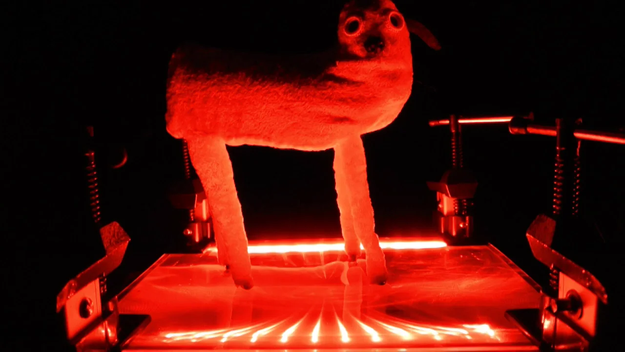 Experiments from THE ASSEMBLY of ANIMALS on Vimeo