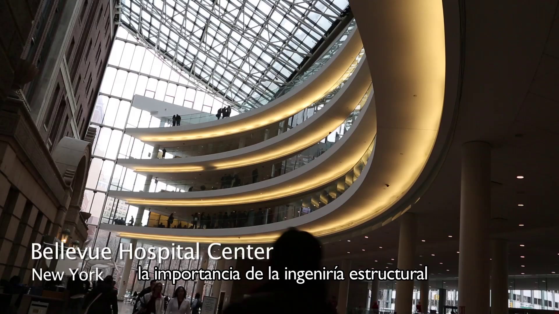 Leslie Robertson, Acciona