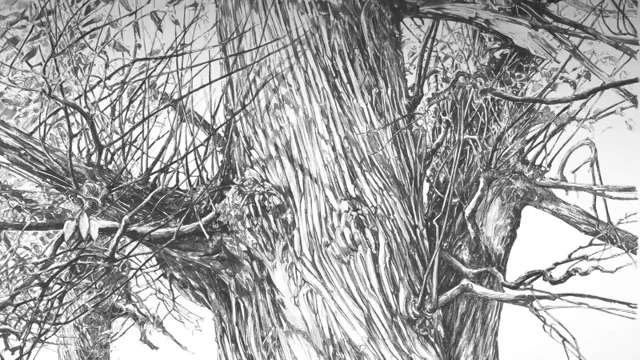Forest illustrations created using layers of tracing paper- Eleanor Johnson