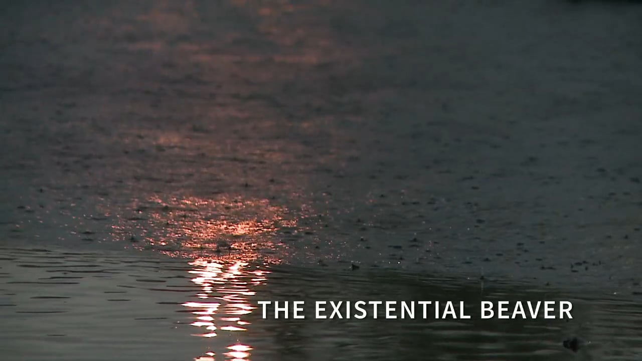 EPISODE 4 THE EXISTENTIAL BEAVER