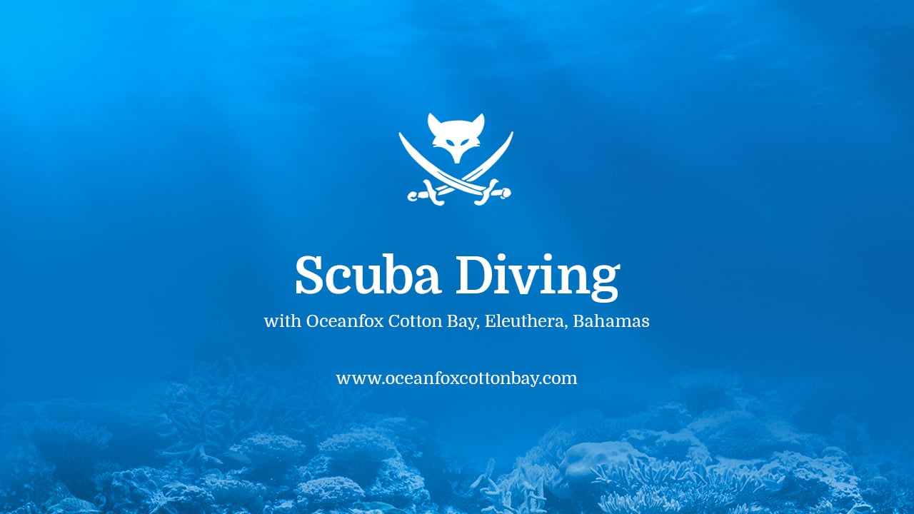 Scuba Diving with Oceanfox Eleuthera, Bahamas on Vimeo