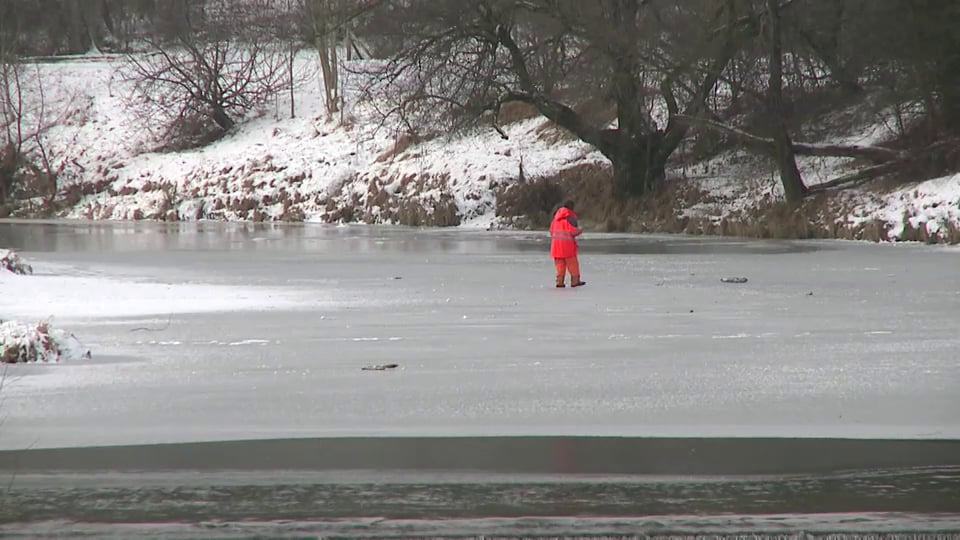 Preview: The Sihl near Allmend is frozen over