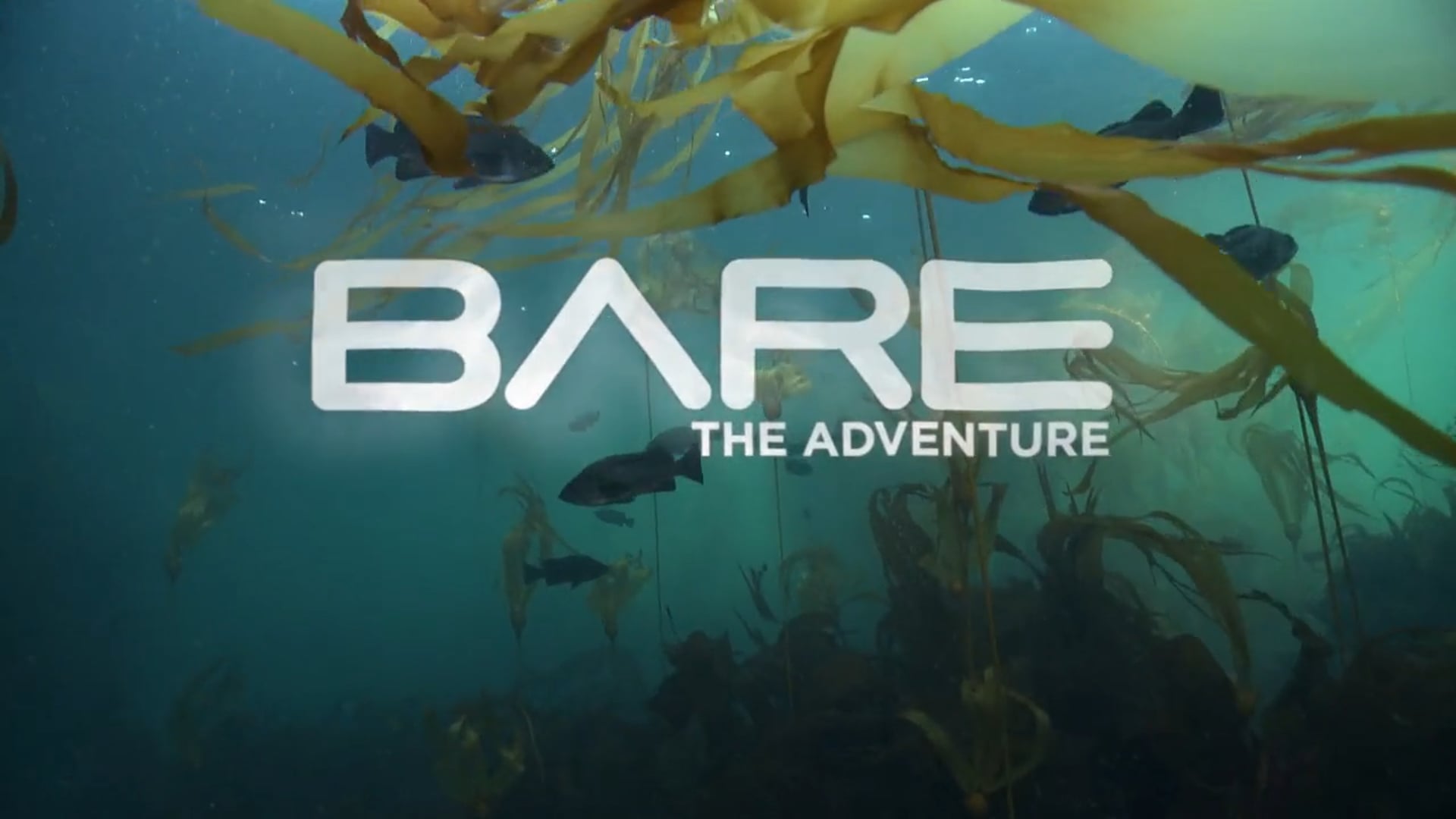 Bare Dive: British Columbia