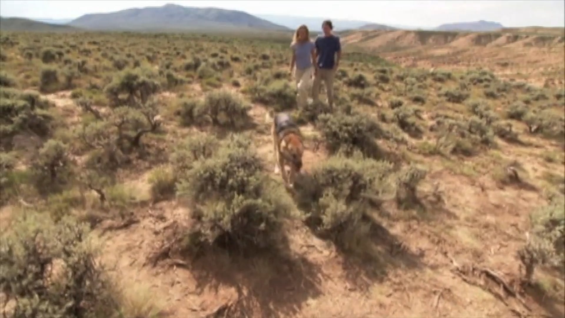 Journey to 10,000 BC